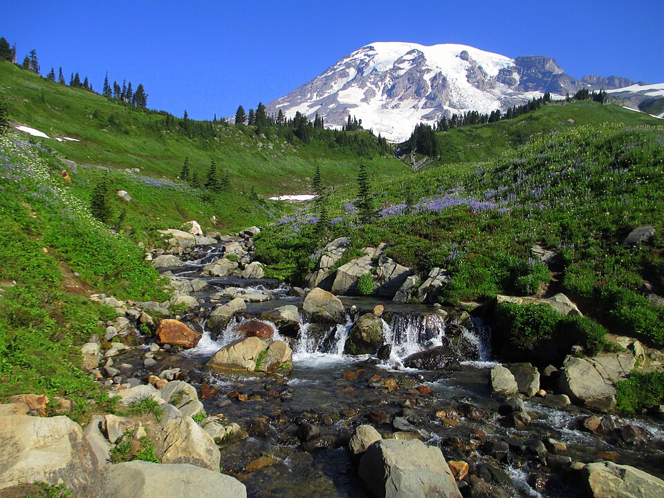 Mount Rainier from above Myrtle Falls in August